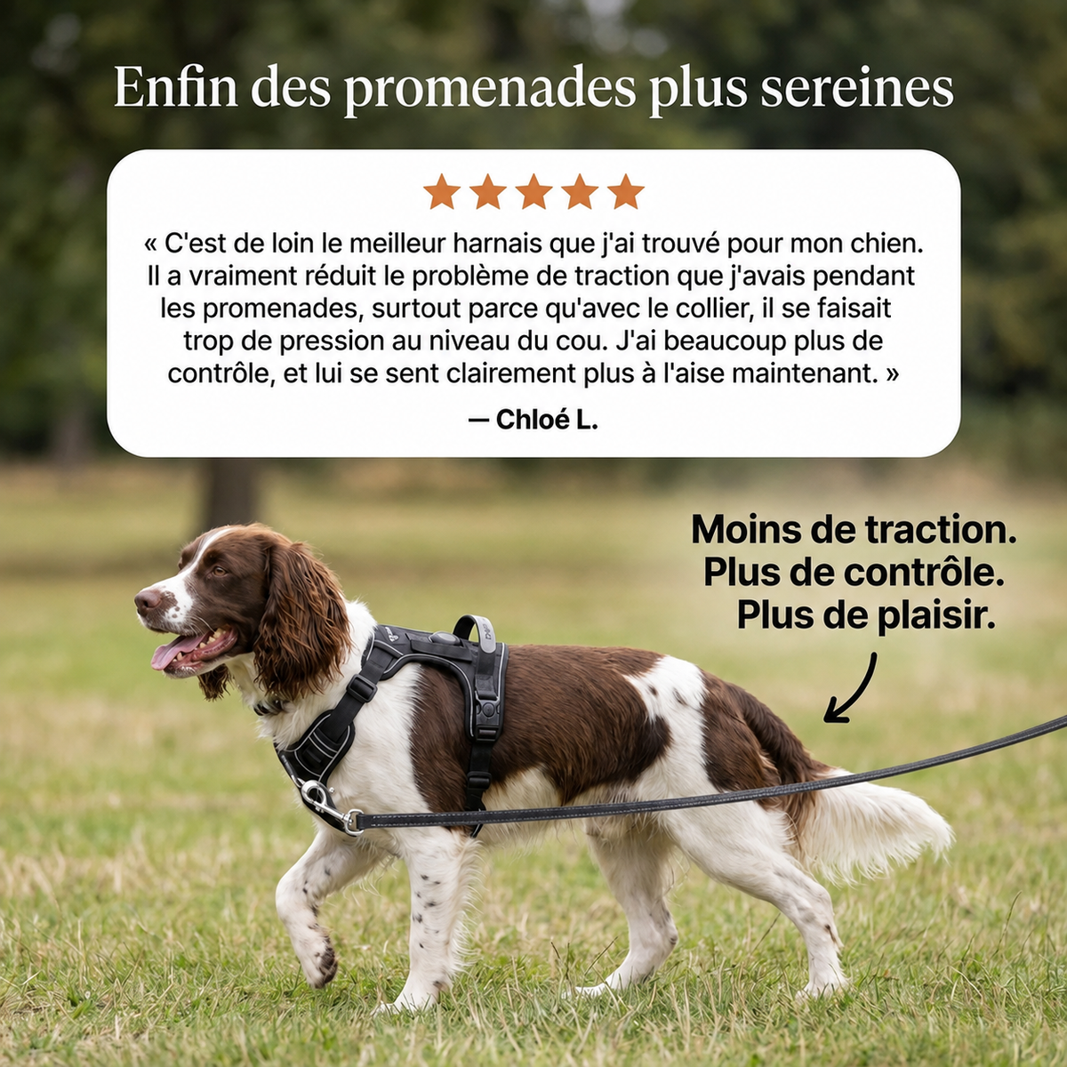 HARNAIS ANTI-TRACTION LUNYPET™