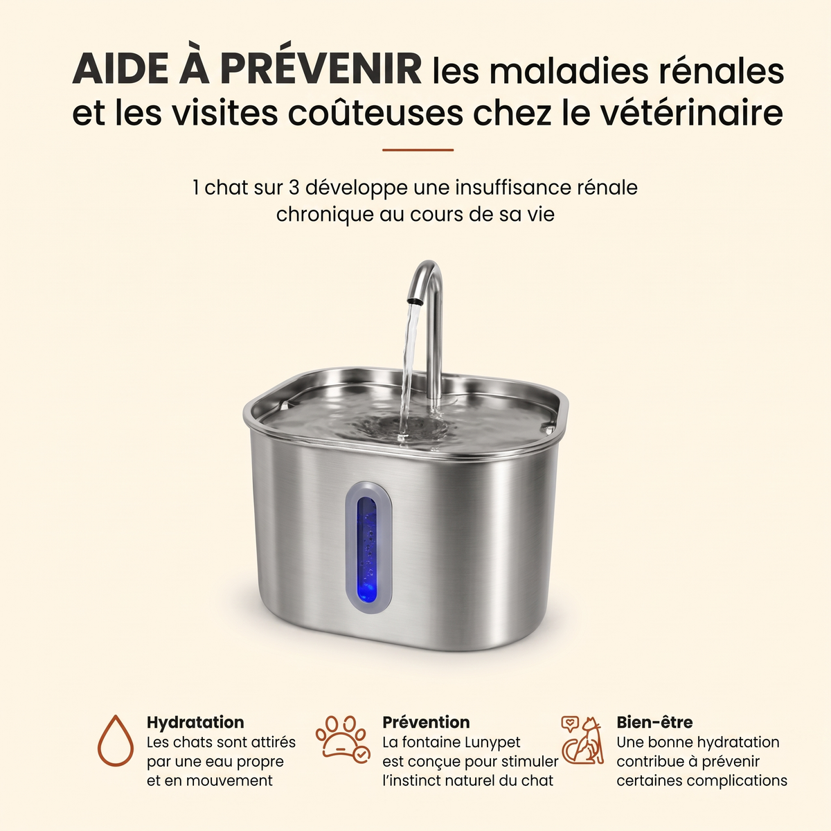 Protégez votre chat de la déshydratation et des problèmes urinaires avec Lunypet