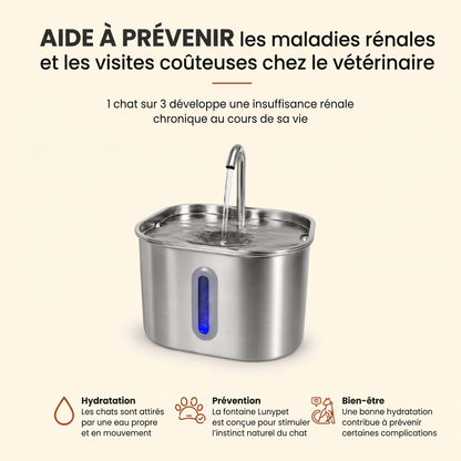 Protégez votre chat de la déshydratation et des problèmes urinaires avec Lunypet