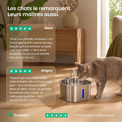 Protégez votre chat de la déshydratation et des problèmes urinaires avec Lunypet