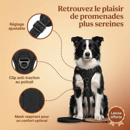 HARNAIS ANTI-TRACTION LUNYPET™