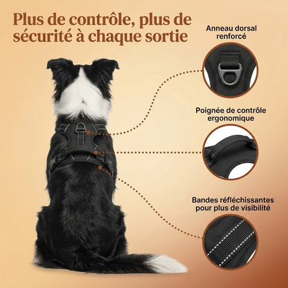 HARNAIS ANTI-TRACTION LUNYPET™