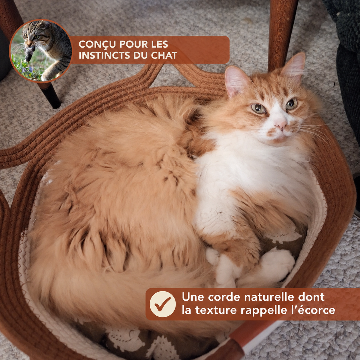 Un panier adapté aux instincts du chat