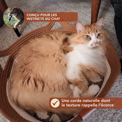 Un panier adapté aux instincts du chat