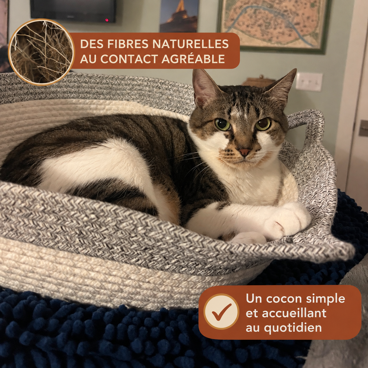 Chat dans un panier en fibres naturelles