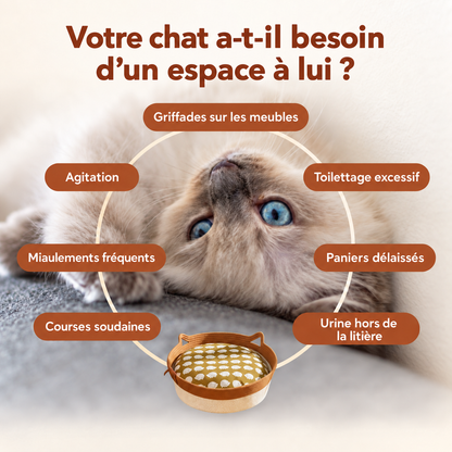 Votre chat a-t-il besoin d’un espace à lui ?