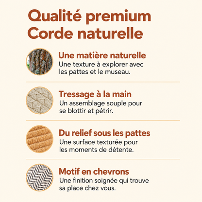 Détails du tressage et des matières