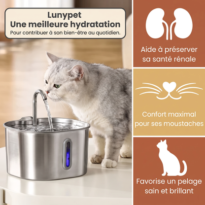 Protégez votre chat de la déshydratation et des problèmes urinaires avec Lunypet
