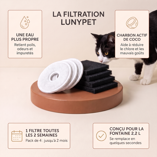 Filtre pour fontaine Lunypet